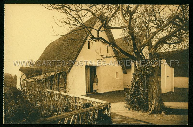 cartes postales anciennes 11148.jpg